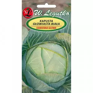 Káposzta Kamienna Glowa 2