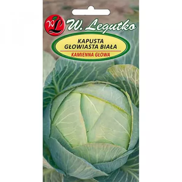 Káposzta Kamienna Glowa 2 Káposzta Kamienna Glowa 2