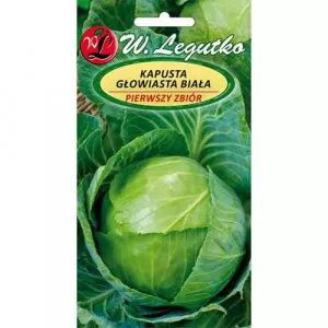 Káposzta első betakarítás