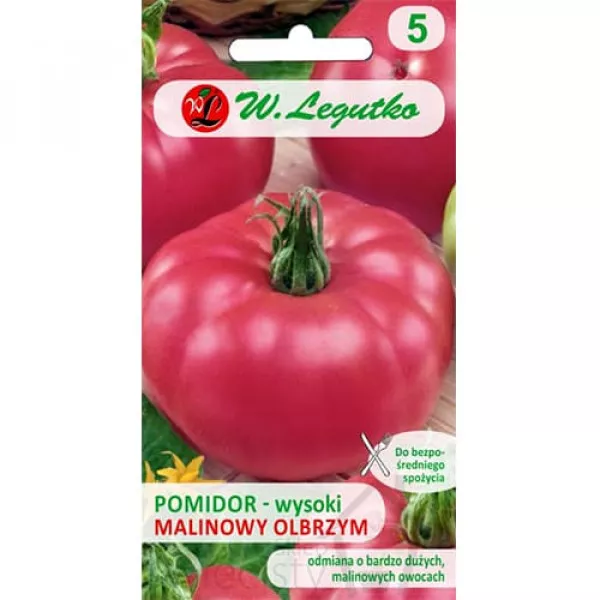 Paradicsom Raspberry Gigant