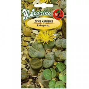 Lithops színkeverék