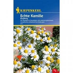 Echte Kamilla