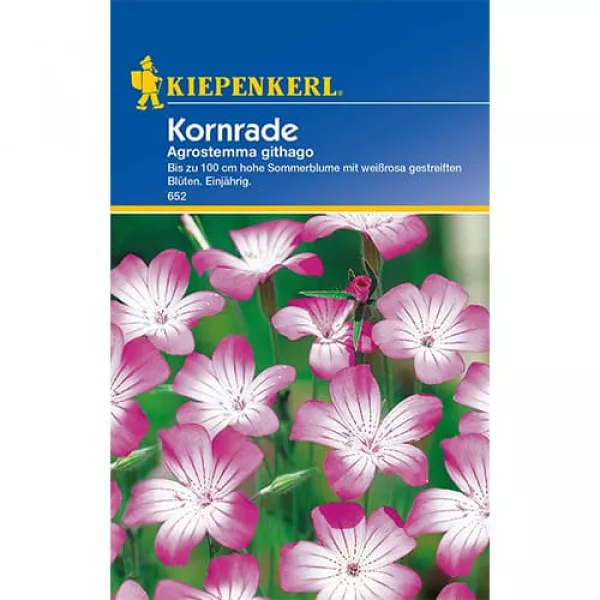 Konkoly