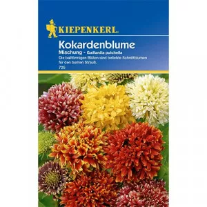 Kokárdavirág, színkeverék