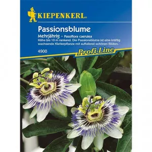 Golgotavirág (Passiflora)
