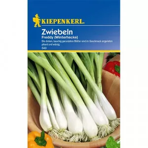 Zöldhagyma Winterhecke