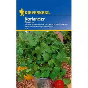 Koriander egynyári