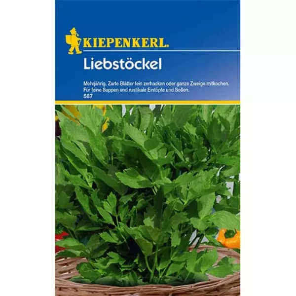 Lestyán évelő