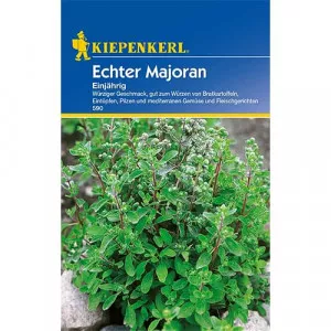 Majoránna egynyári