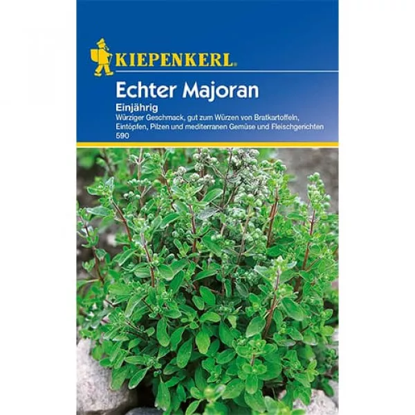 Majoránna egynyári