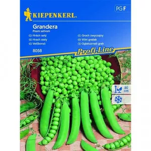Zöldborsó Grandera