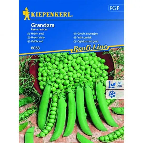 Zöldborsó Grandera