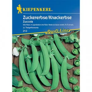 Cukorborsó Zuccola