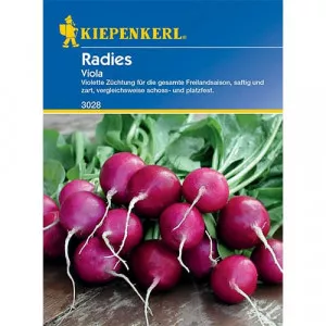 Retek Viola