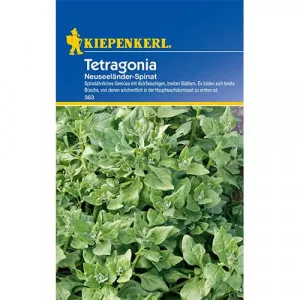 Spenót Tetragonia