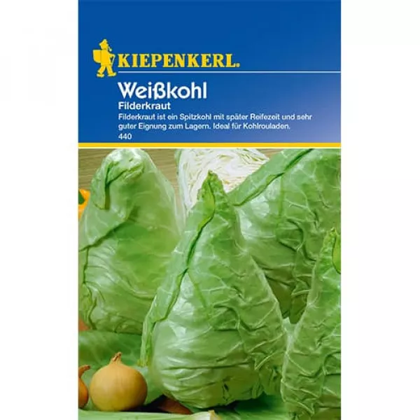 Káposzta Filderkraut