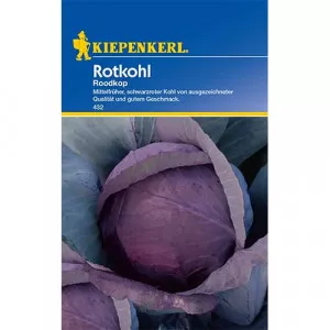 Piros káposzta Schwarzkopf 2