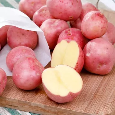 Bellarosa vetőburgonya