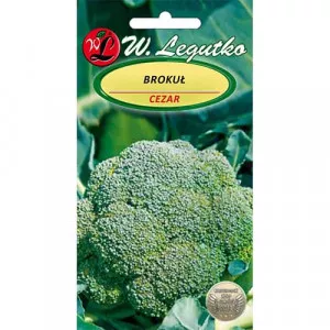 Brokkoli Cezar