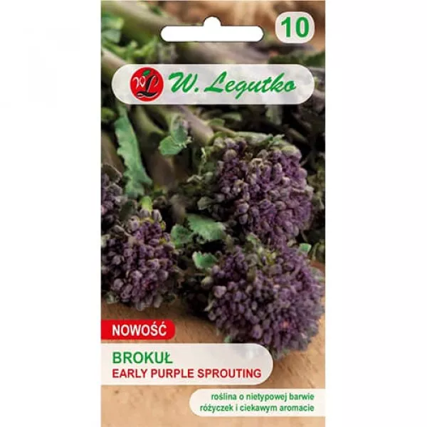 Brokkoli Early Purple Brokkoli Early Purple
