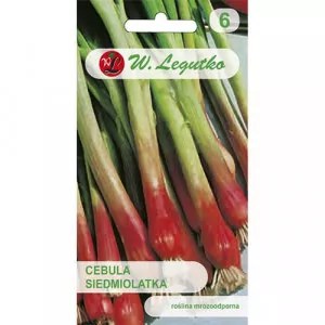 Zöldhagyma Red Toga