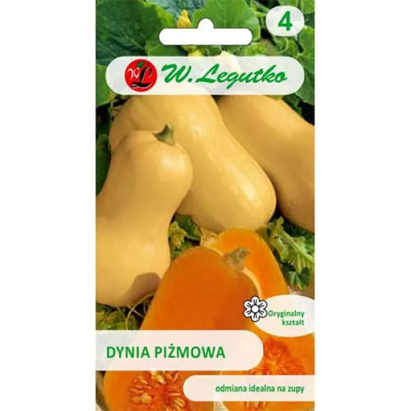 Tök Butternut