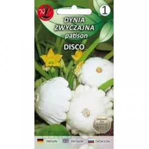 Patiszon Disco