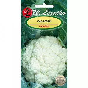 Karfiol Pionier