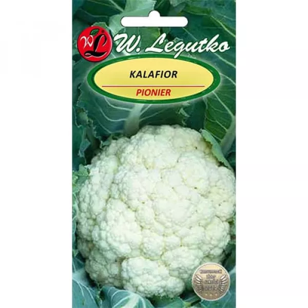 Karfiol Pionier Karfiol Pionier
