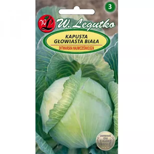 Káposzta Ditmarska