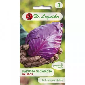 Káposzta lila Kalibos