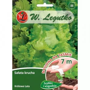 Fejessaláta Krolowa Lata