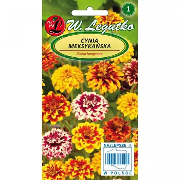 Zinnia (Cârciumăreasă) mexicană, mix multicolor Zinnia (Cârciumăreasă) mexicană, mix multicolor