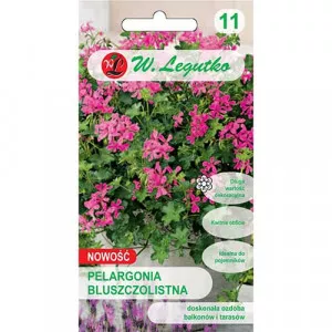 Muskátli Fuchsia F1