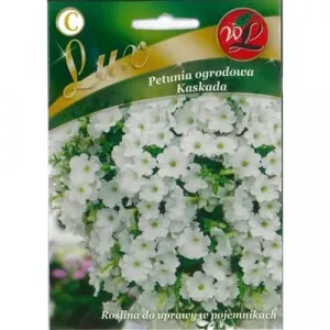 Kaskada fehér Petunia