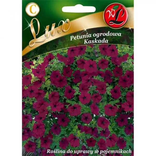 Kaskada lila Petunia