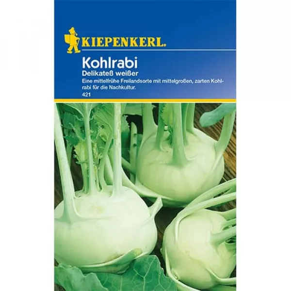 Karalábé Delikatess weisser