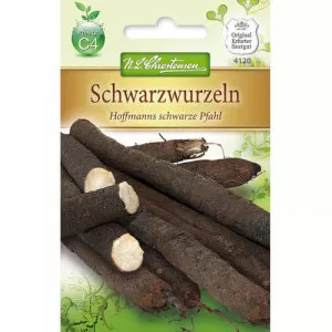 Feketegyökér Hoffmanns schwarze Pfahl