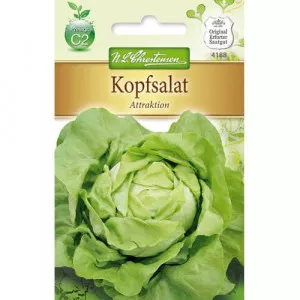 Saláta zöld Attraktion