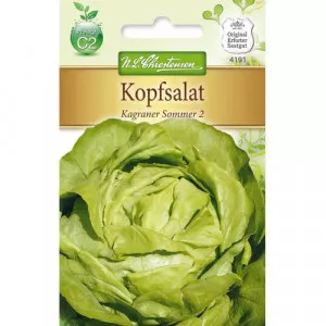 Saláta zöld Kagraner Sommer 2