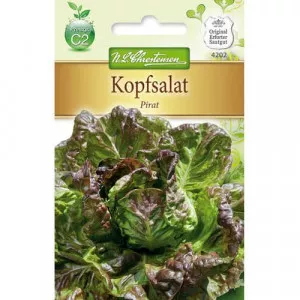 Saláta zöld Pirat