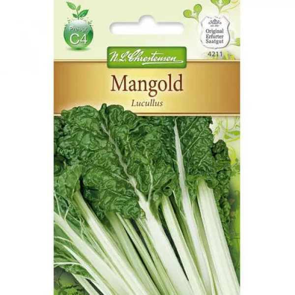 Mangold Lucullus
