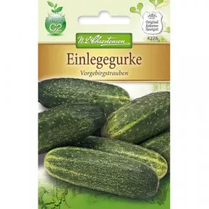 Uborka Vorgebirgstrauben