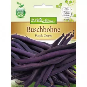 Bab Purple Teepee