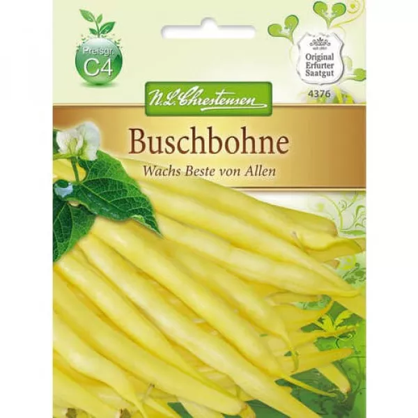 Bab Wachs Beste von Allen