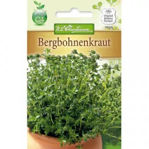 Kakukkfű téli