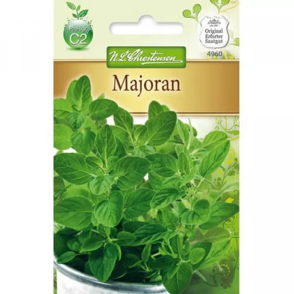Majoránna