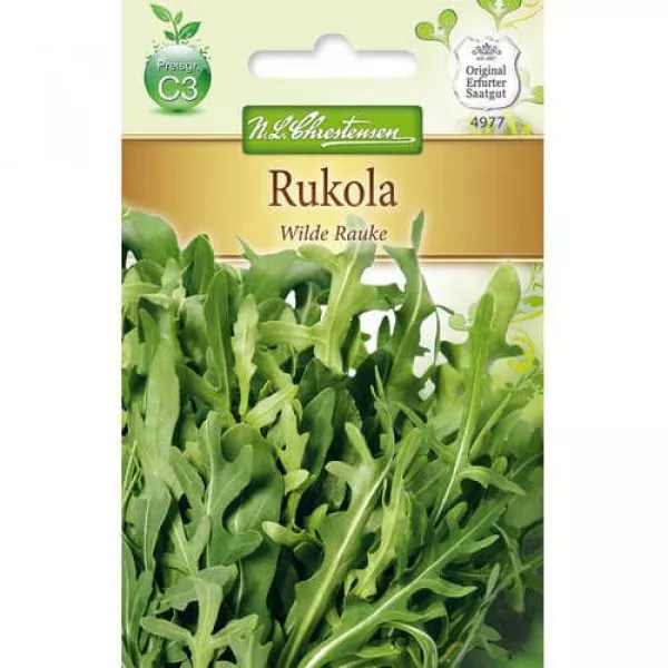 Rukkola Wilde Rauke