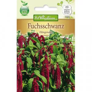 Bókoló disznóparéj (Amaranthus)