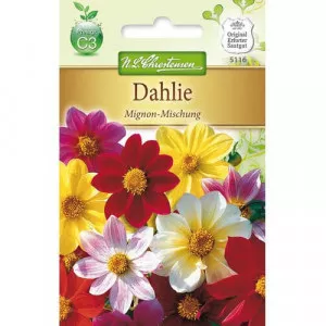 Mignon Dália színkeverék